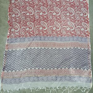 Kota doriya dupatta